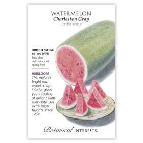 Watermelon Charleston Gray information graphic Botanical Interests