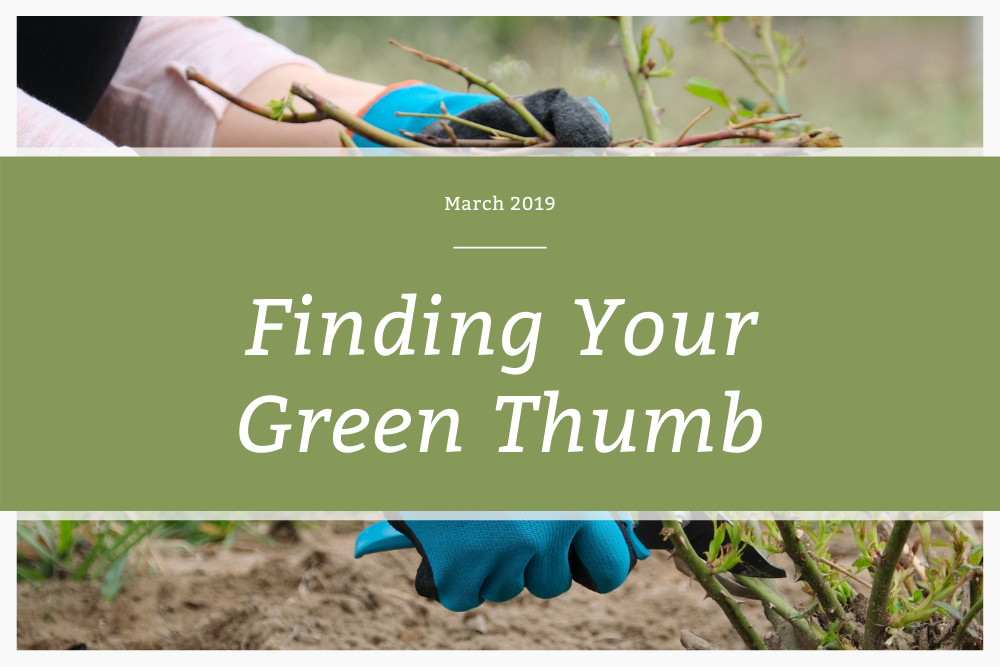 Finding Your Green Thumb