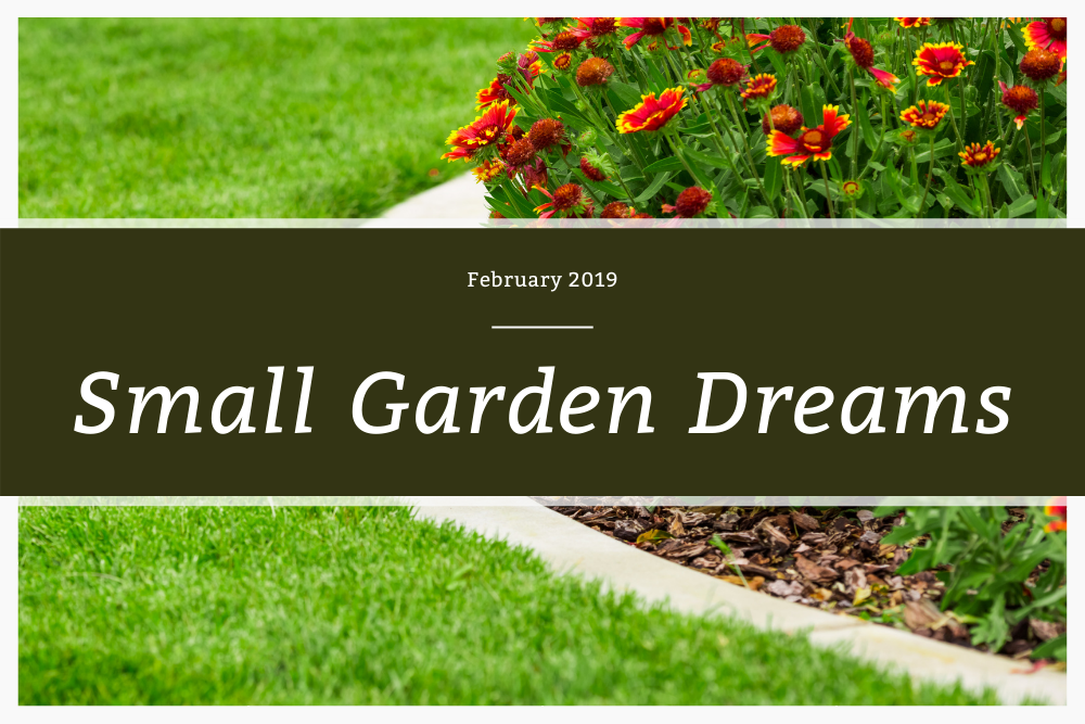 Small Garden Dreams