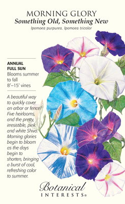Morning Glory Something Old, Something New Flower information graphic Botanical Interests