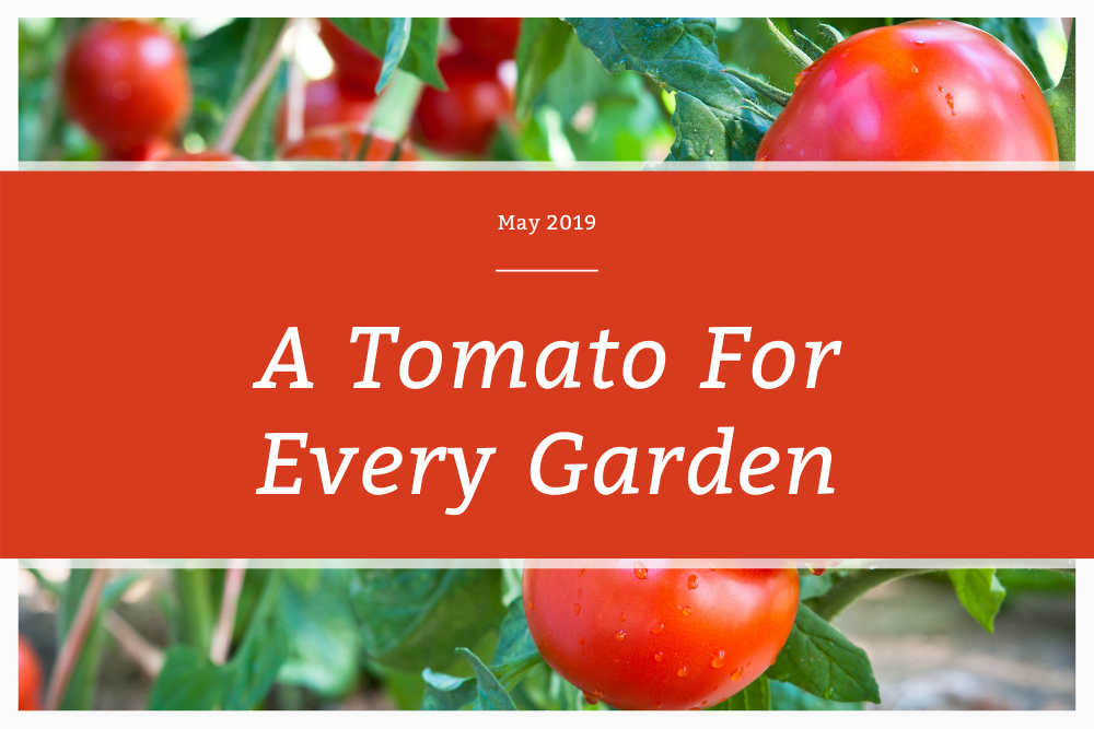 A Tomato for Every Garden