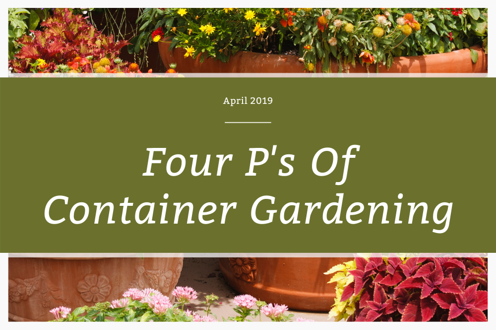 Four P’s of Container Gardening