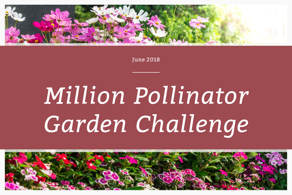 Million Pollinator Garden Challenge
