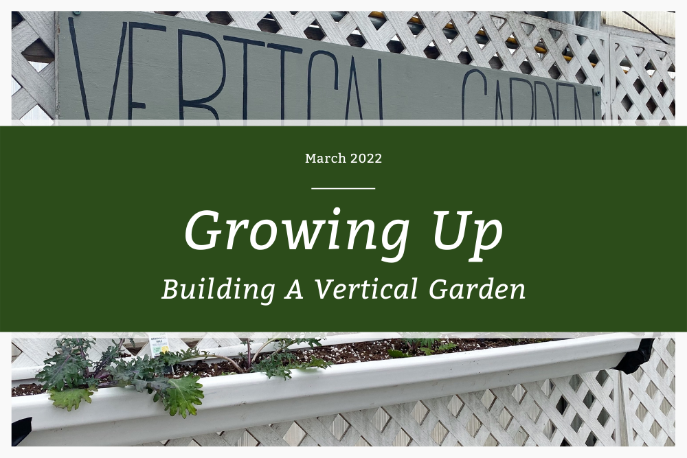 Growing Up: Building A Vertical Garden