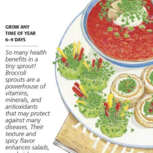 Botanical Interests Broccoli Organic Sprouts Seeds