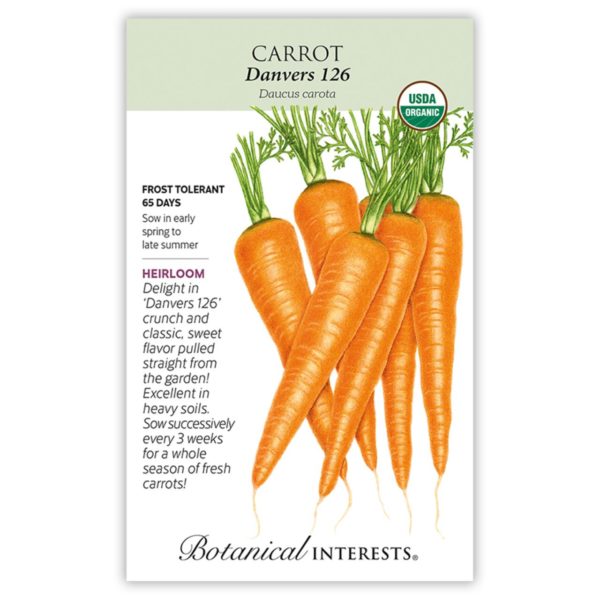 danvers 126 carrot organic seeds information graphic Botanical Interests