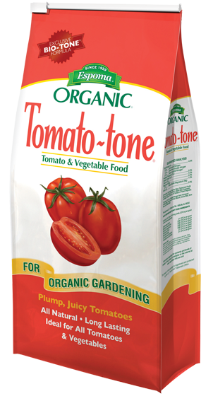 organic tomato tone product image on transparent background