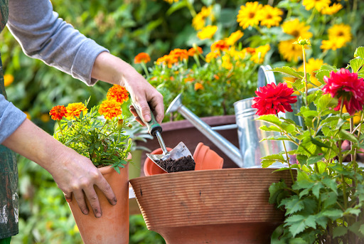 Why Gardening Is Good For Mental Health